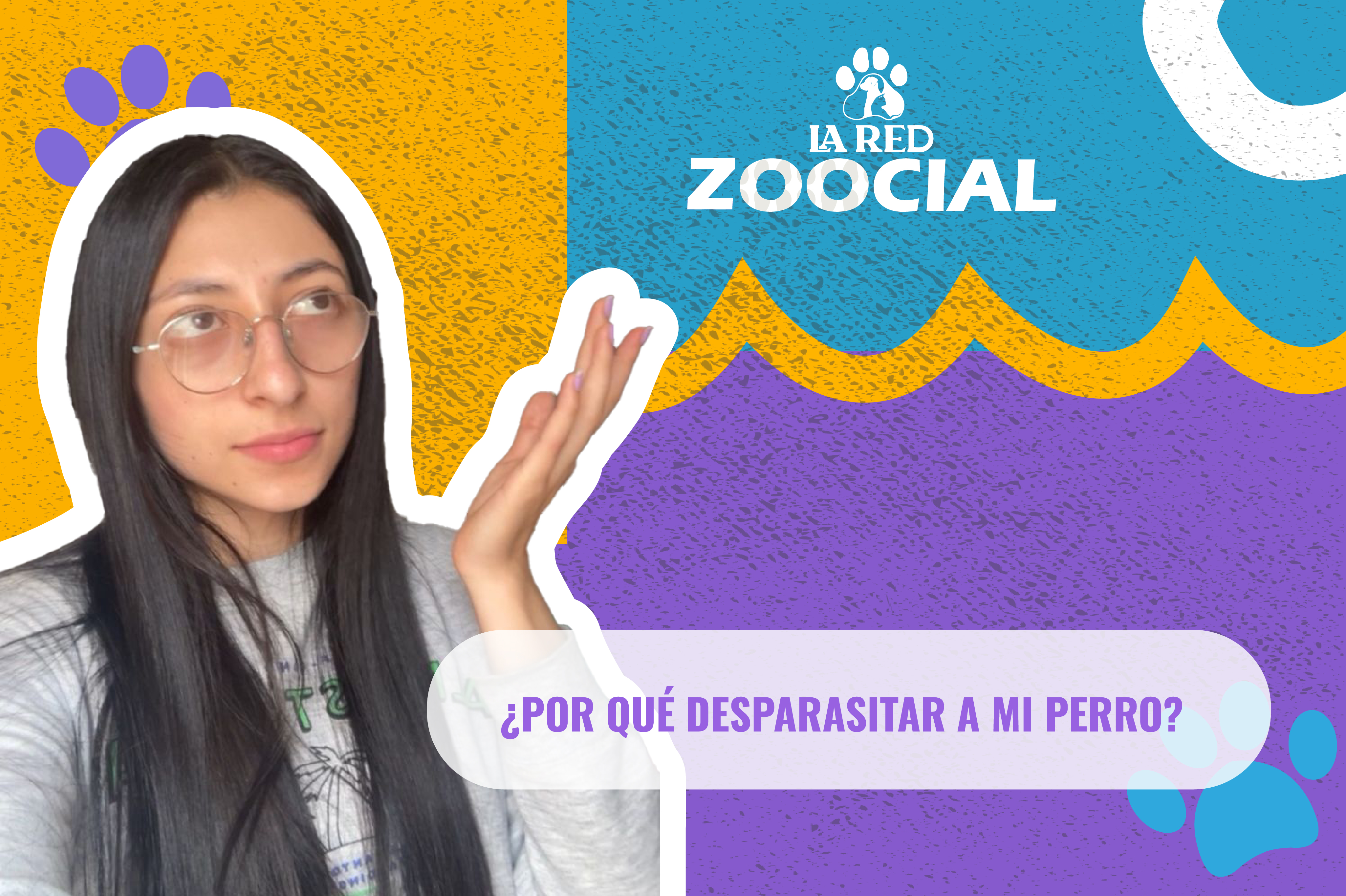 (Video) ¿Por qué debo desparasitar a mi perro?