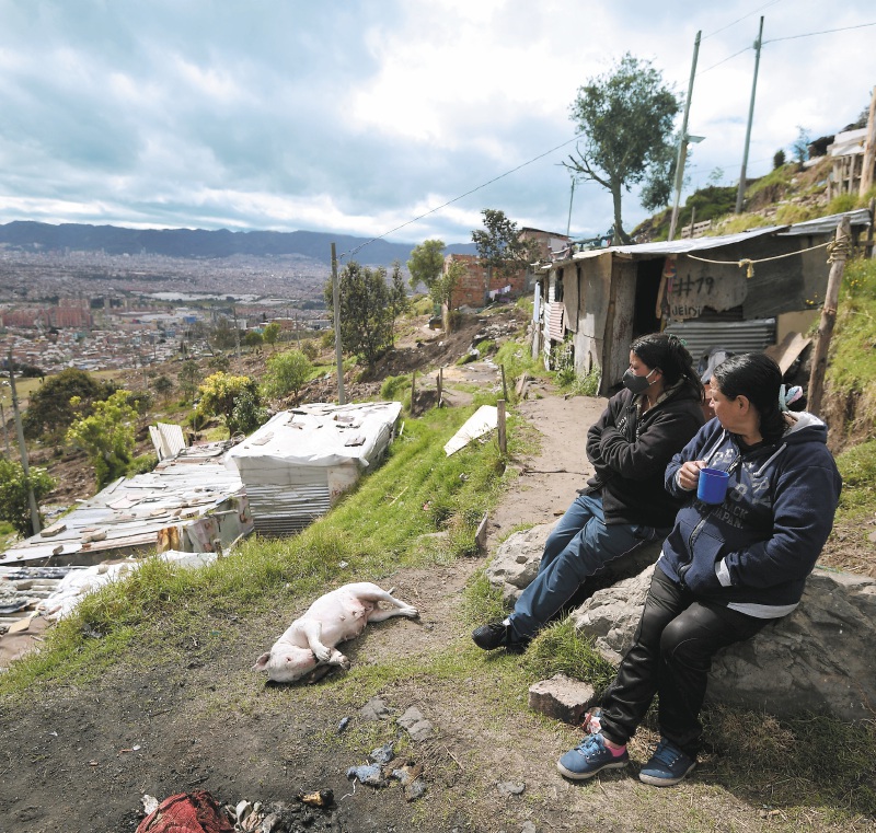 Ingreso Solidario y hambre en Colombia