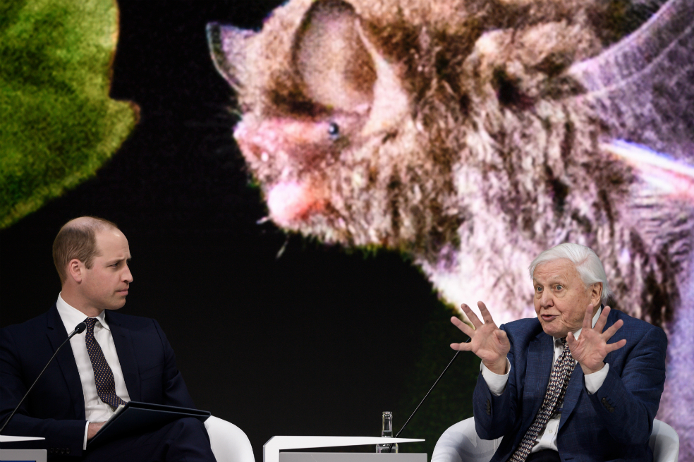 “Se acabó el jardín del Edén”: David Attenborough
