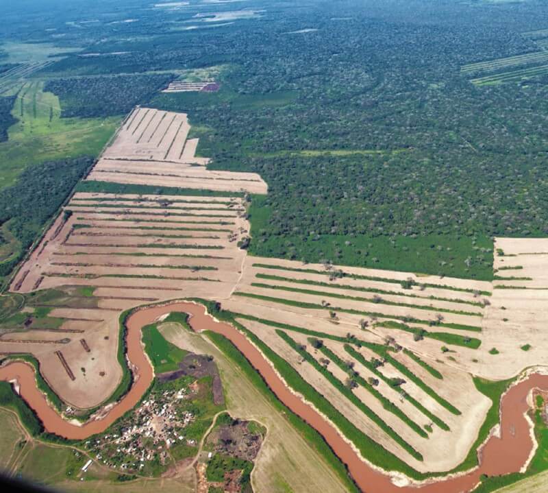 La Amazonia boliviana ha cambiado el uso de su suelo drásticamente: esto era selva hace una década. /E. Sánchez (FAN).