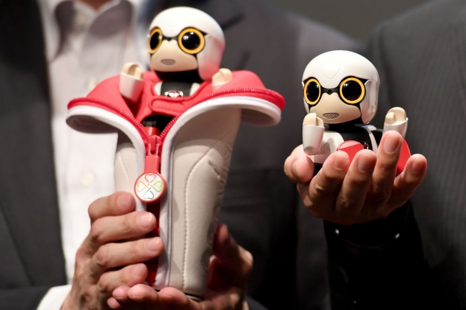 El pequeño robot creado para hacer compañía a personas solitarias