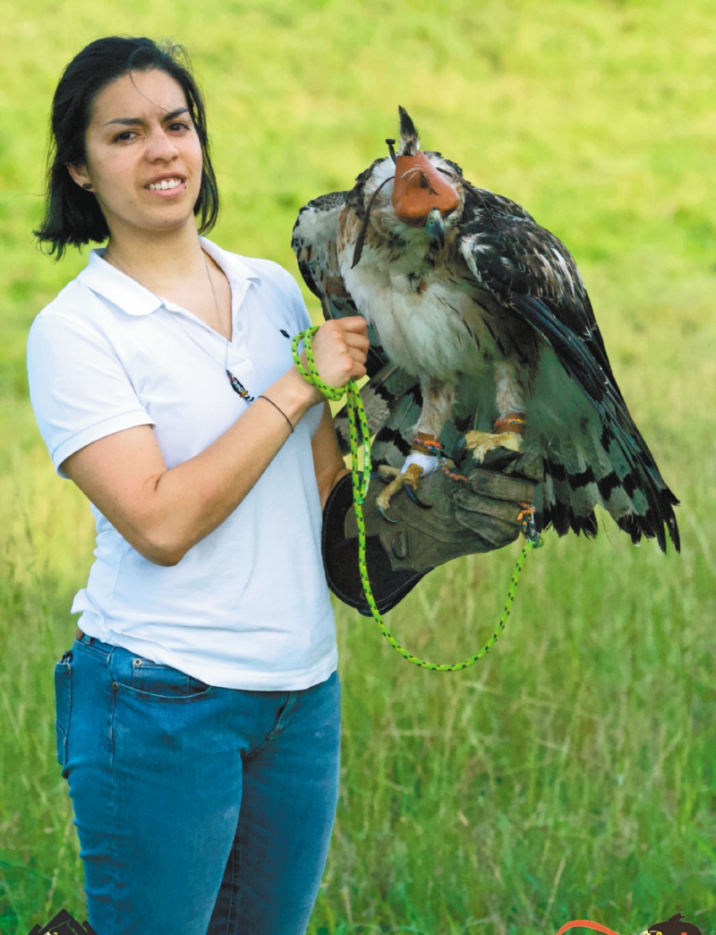 La colombiana que busca proteger al águila real de montaña