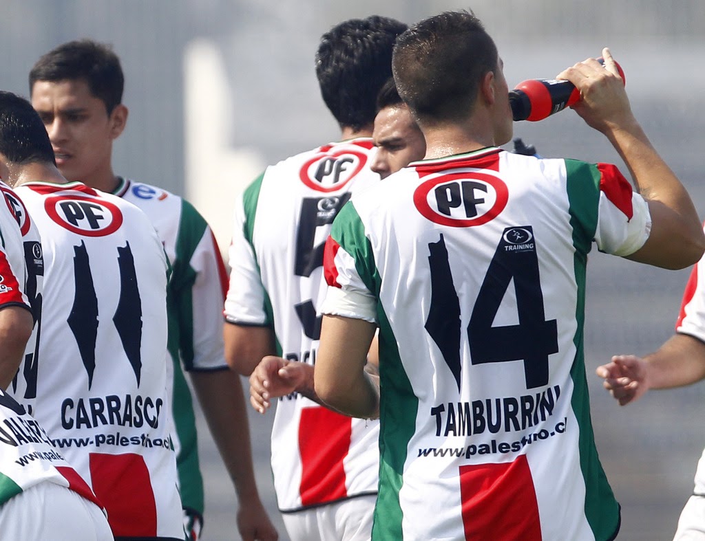 La camiseta se convirtió en la más vendida en la historia de Club Deportivo Palestino y se exportó masivamente a medio oriente.
