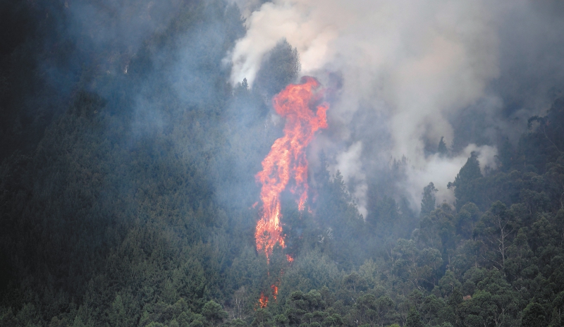 Esta es la situación de los incendios en Colombia este sábado 27 de enero
