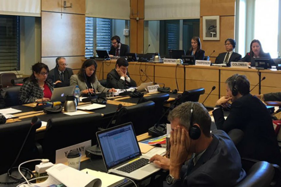 La delegación del Estado estaba liderada por la Consejera Presidencial para los Derechos Humanos, Paula Gaviria.