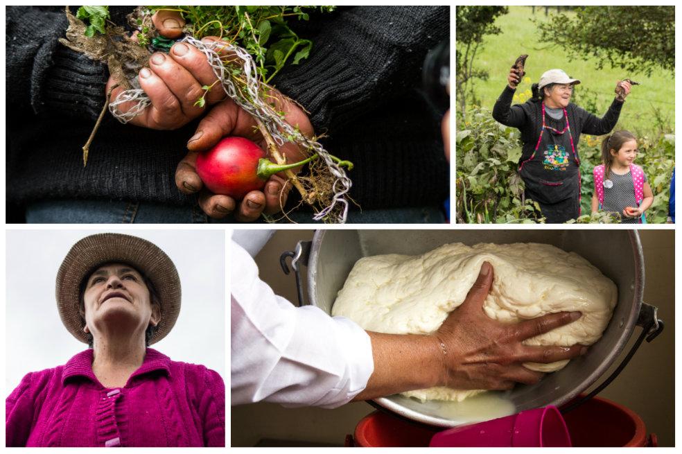 Sabias montañeras: mujeres que se empoderan del campo