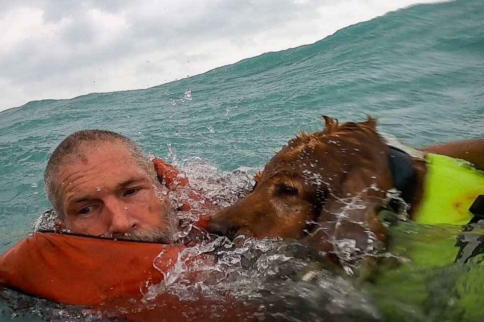(Video) El heroico rescate de un hombre y su perrito en medio del huracán Helene