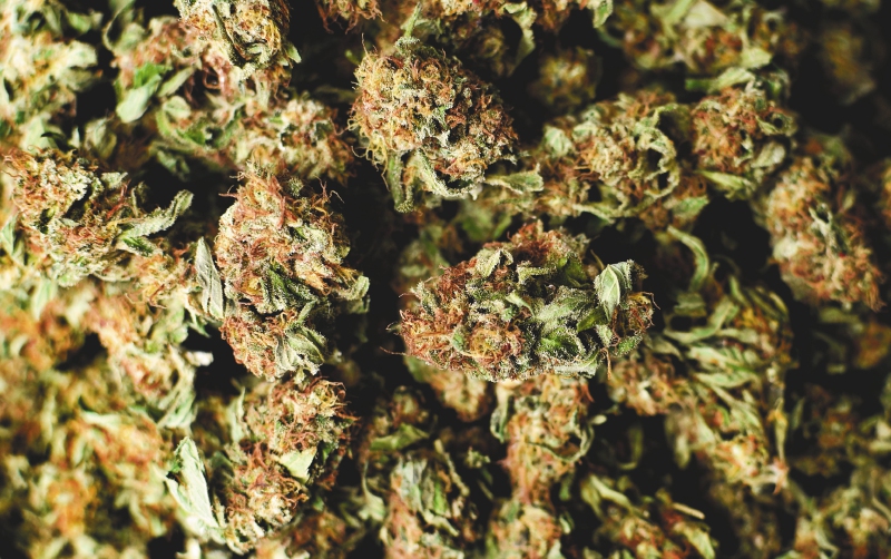 Policía incautó marihuana que sería vendida en colegios de Soacha