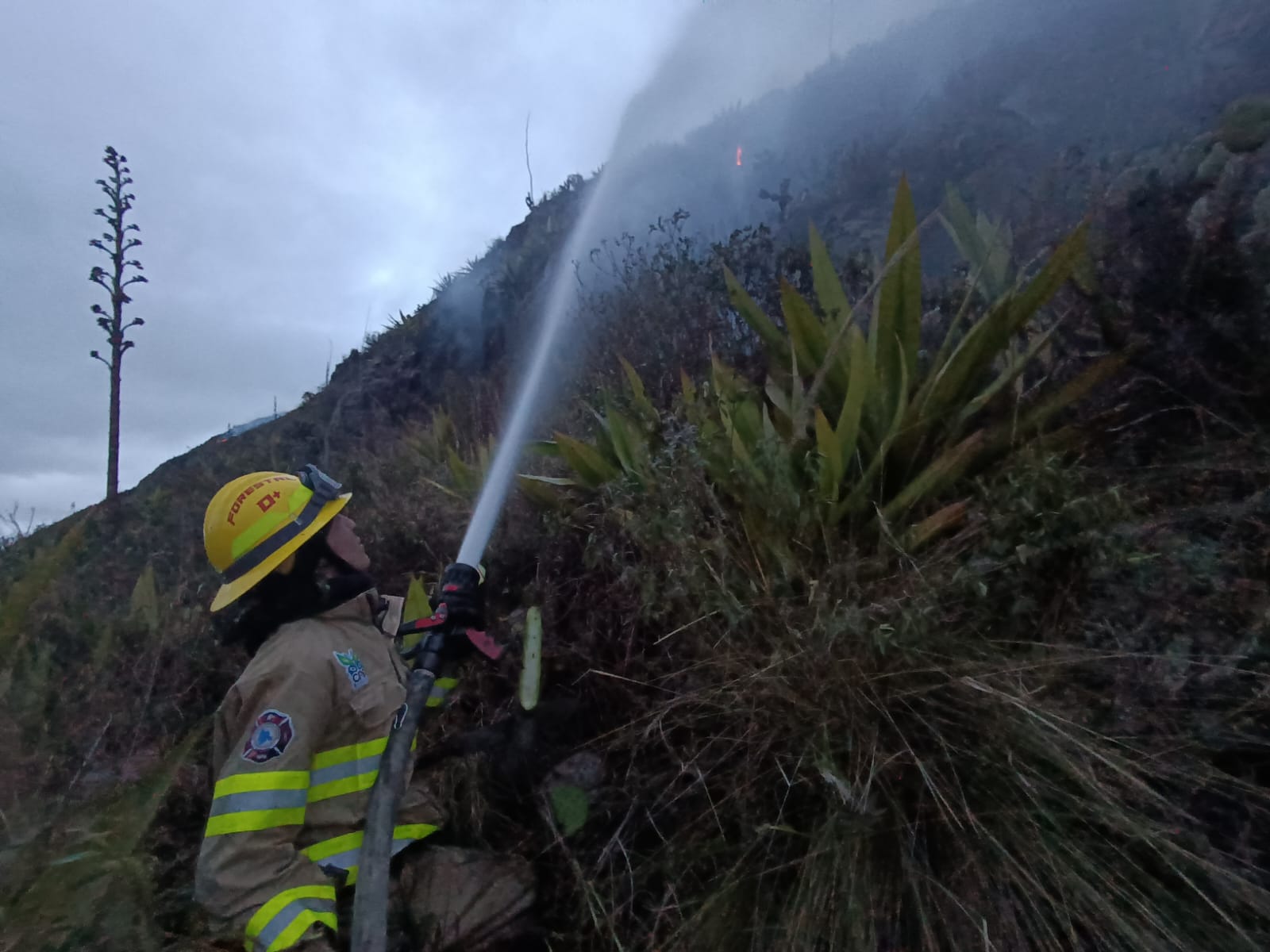 Incendio en Mosquera está controlado en un 80%, hoy los bomberos regresaron al punto