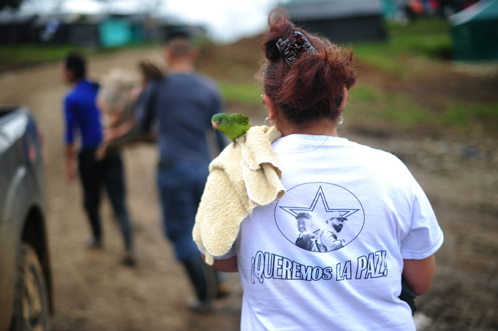 Agencia de Reincorporación dice que no se elimina el subsidio mensual a ex-FARC