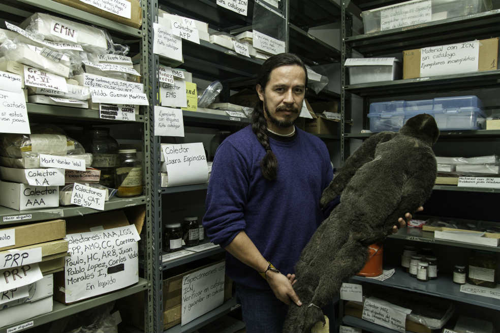 Tras las pistas de la evolución