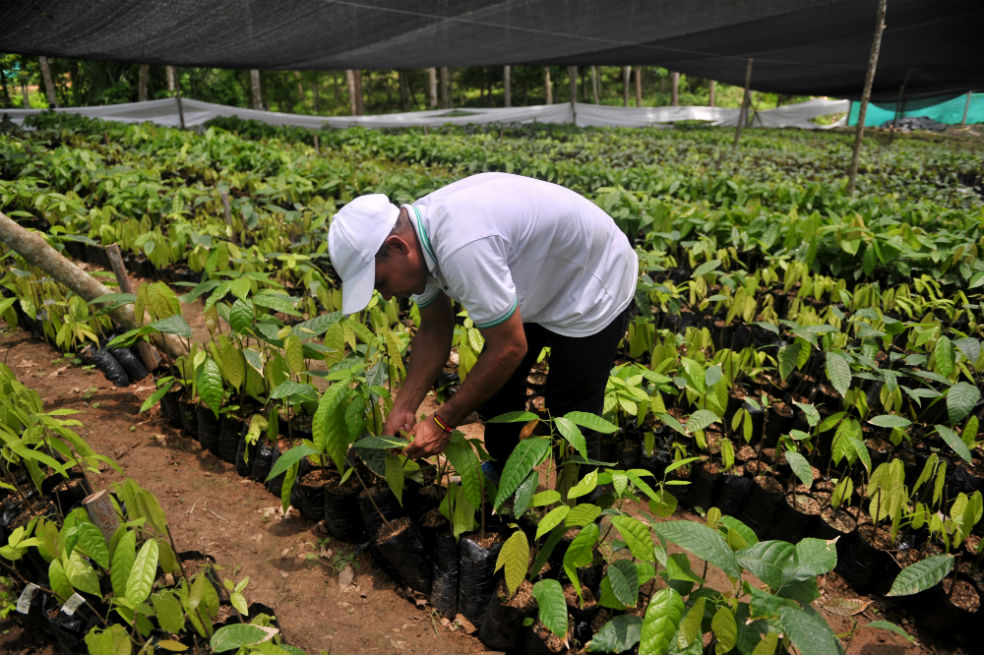 Radican proyecto de ley para mejorar la asistencia técnica en el país