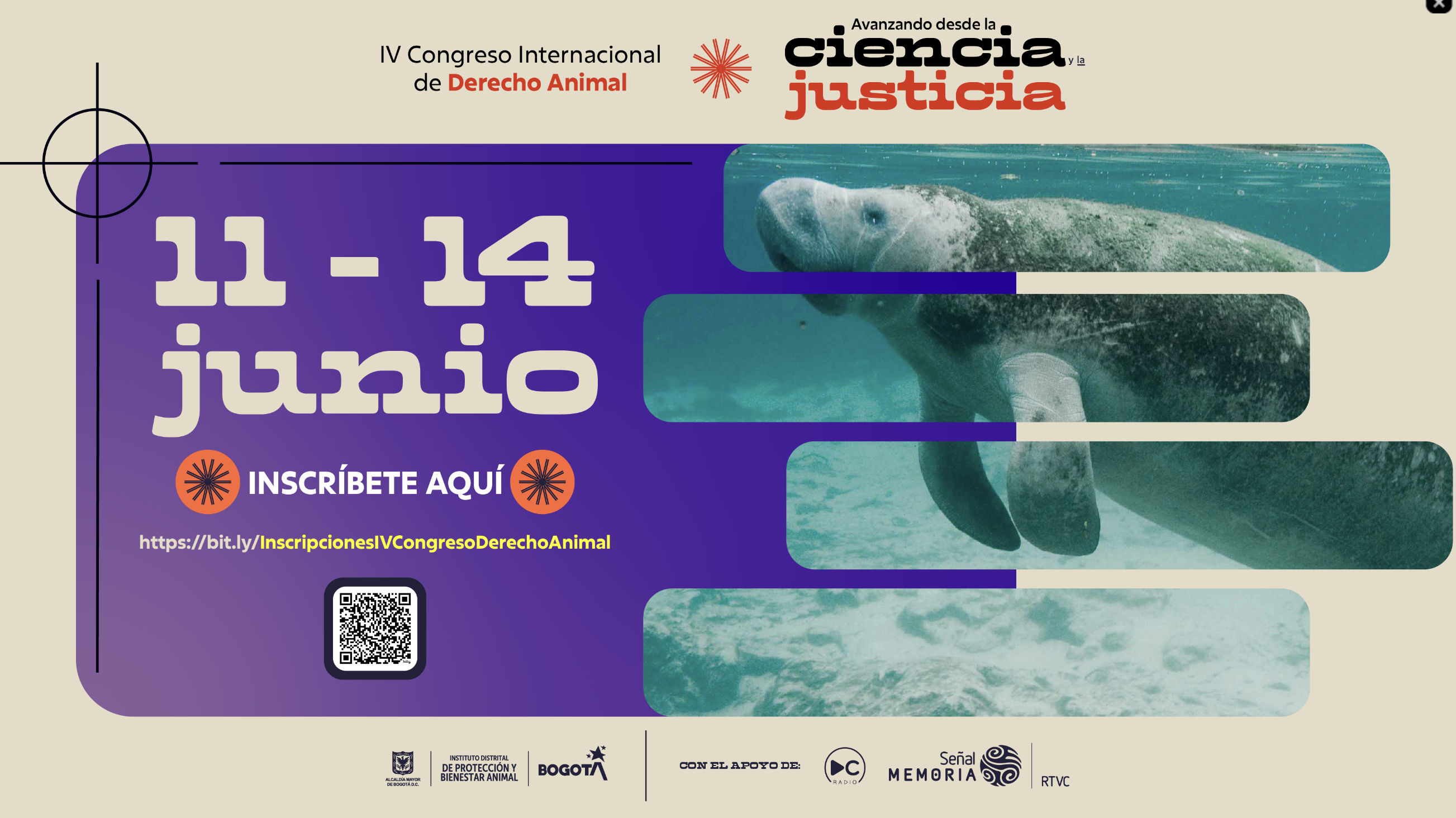 Se acerca el IV Congreso Internacional de Derecho Animal: ¿ya se inscribió?