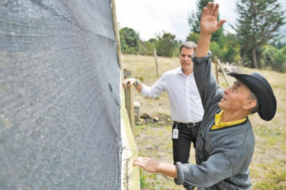 El agua producto de la condensación de la neblina baja por una canal de 4 pulgadas, que lleva el líquido hasta unos tanques de almacenamiento  / Gustavo Torrijos - El Espectador.