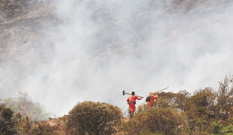 Los incendios que ocurrieron entre el 1º y el 31 de enero han afectado 333 hectáreas. / Óscar Pérez - Archivo El Espectador