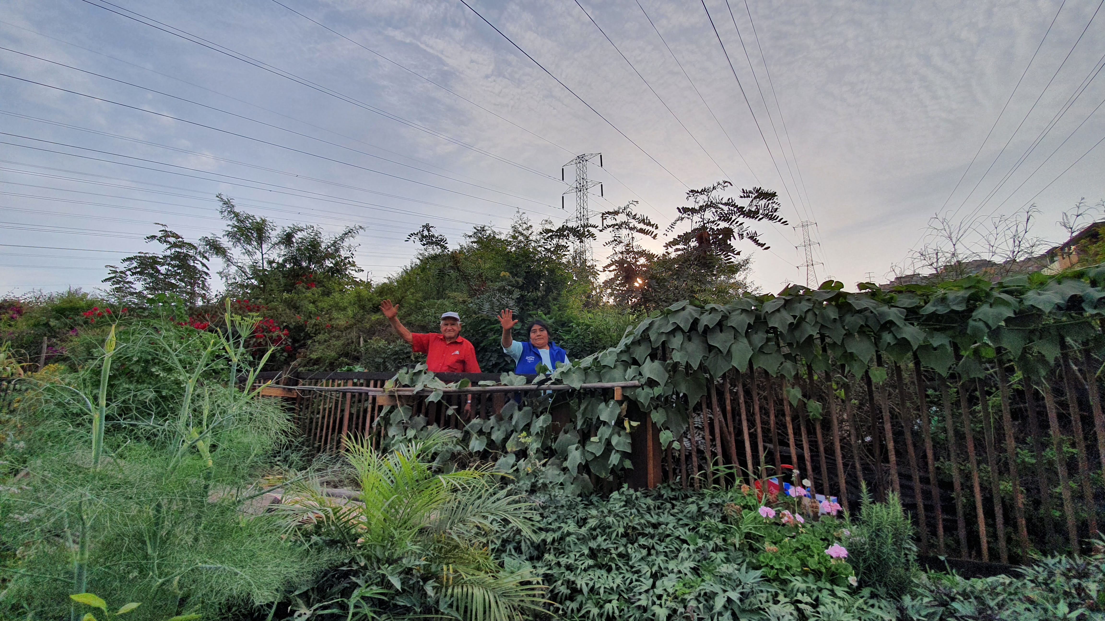 Un oasis bajo las líneas, conexiones que inspiran