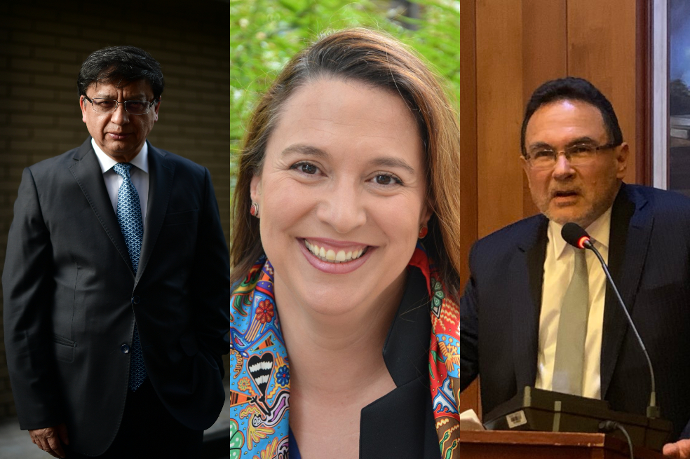 Ternados Corte Constitucional
