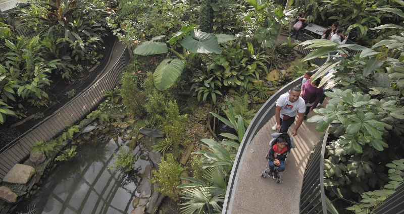 Tropicario del Jardín Botánico, la joya escondida de Bogotá