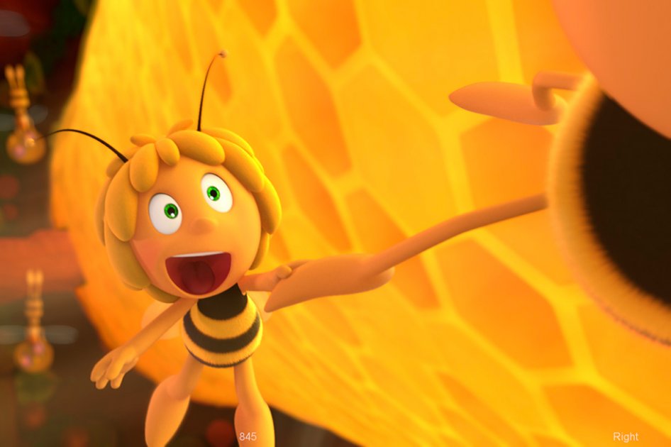 Ganadora del concurso de la Abeja Maya