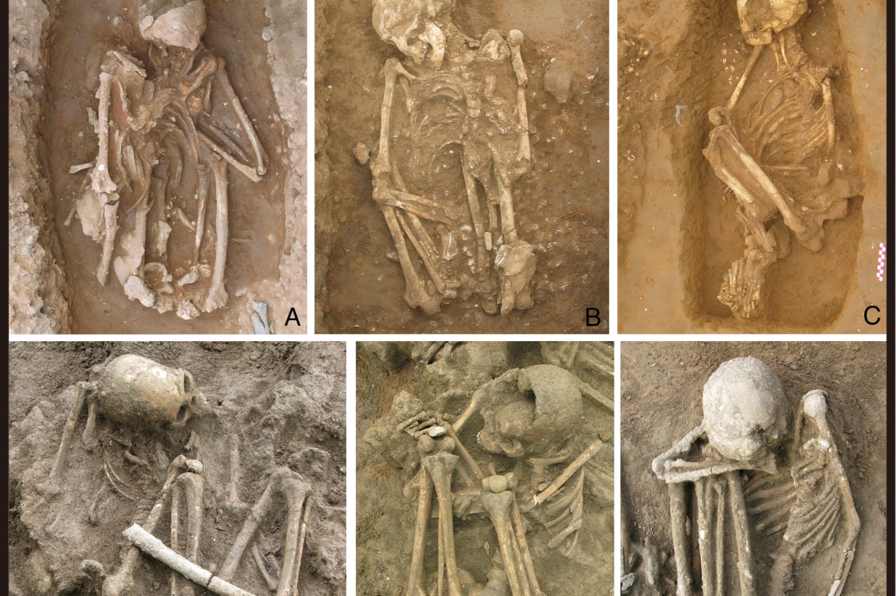 Encuentran las momias más antiguas del mundo. Aunque estos cuerpos no se conservan en perfecto estado, podrían tener más de 10.000 años.