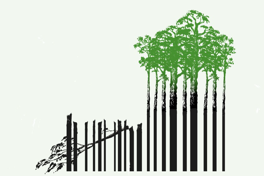 Lograr apuestas comunes, el reto ambiental para Colombia en 2025
