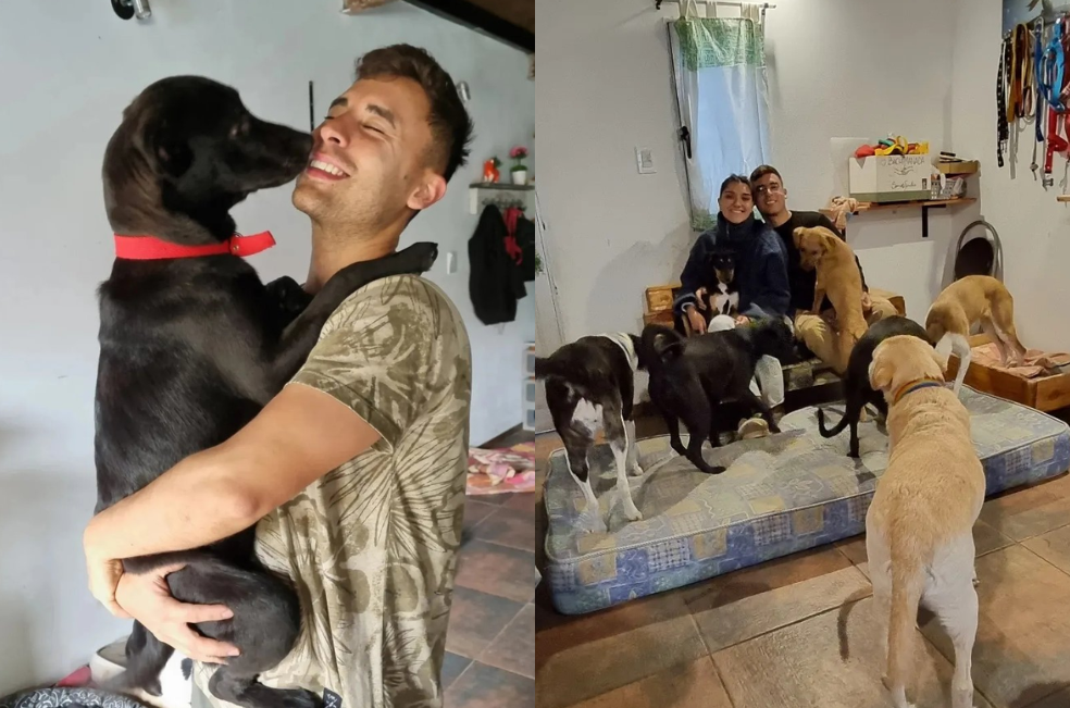 Joven construye una casa con tutoriales de YouTube para él y sus 18 perritos