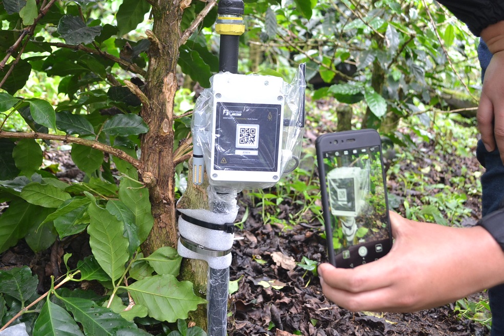 Internet de las cosas avanza en el agro colombiano