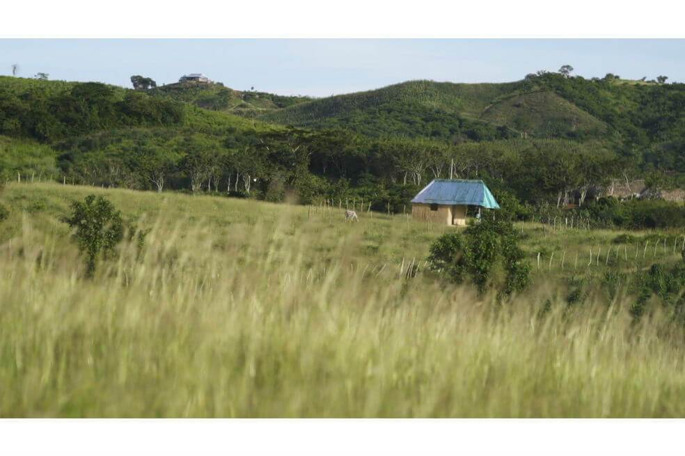 «Quien corría al monte se salvaba»: sobreviviente de la masacre de Pichilín, Sucre