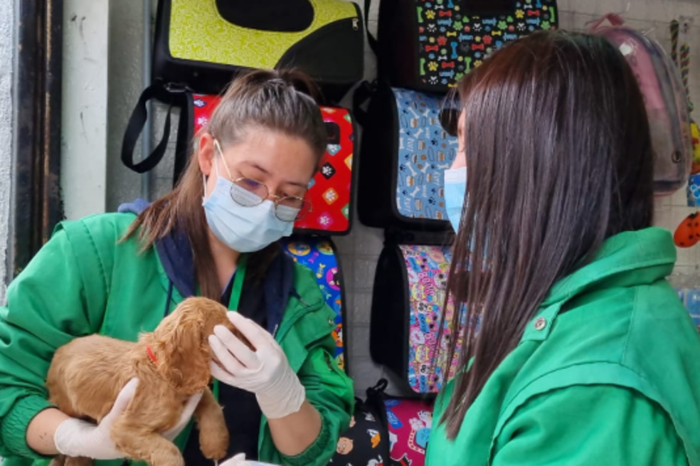 Instituto Distrital de Protección Animal incautó diez animales en establecimientos de comercio