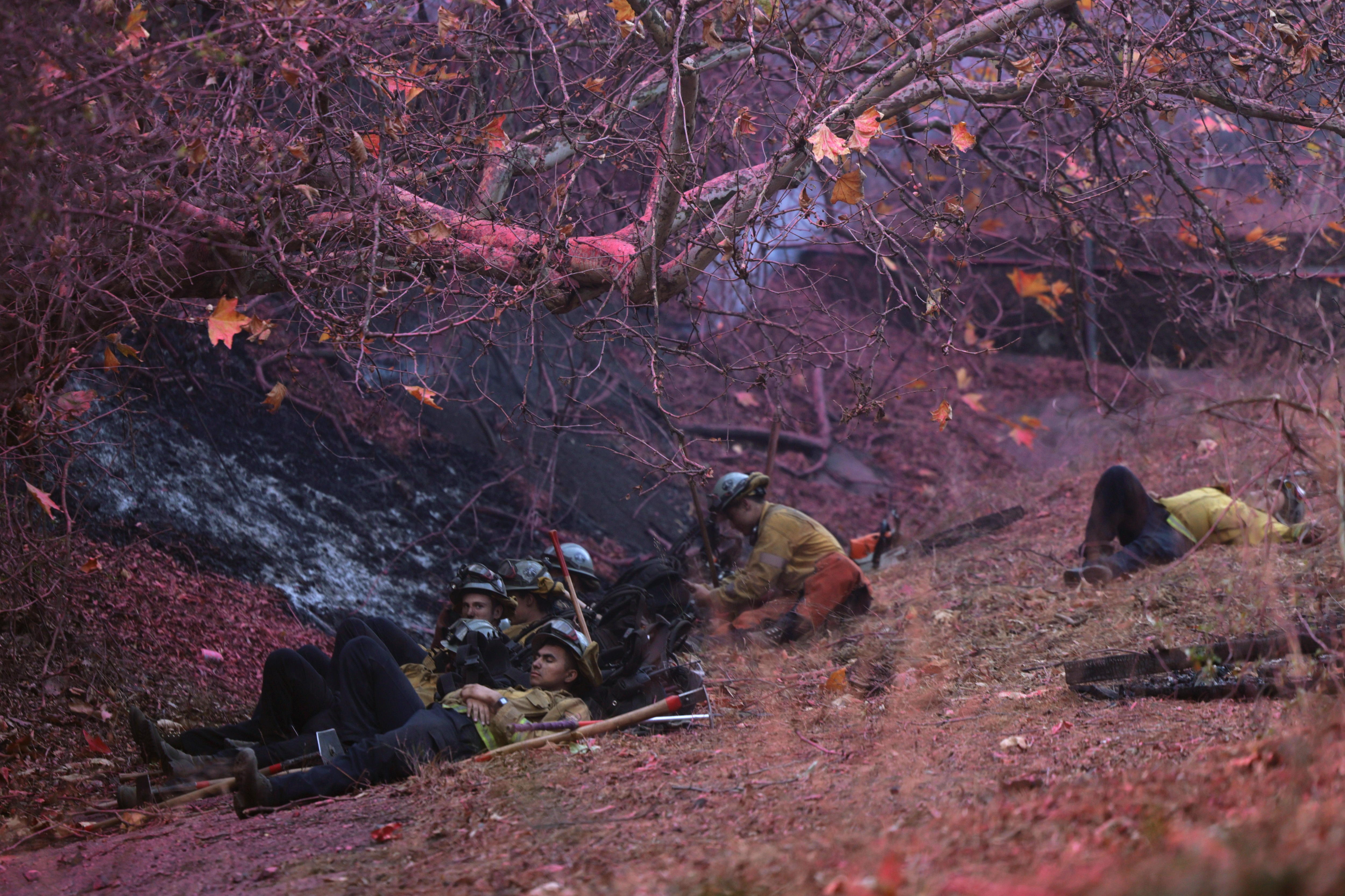 Incendios en Los Ángeles: ya van 24 muertos, con vientos aún más peligrosos