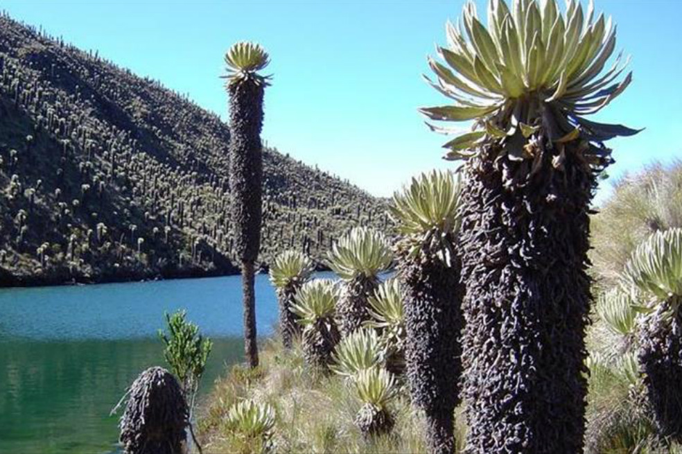 Colombia publica guía para planificar las áreas protegidas