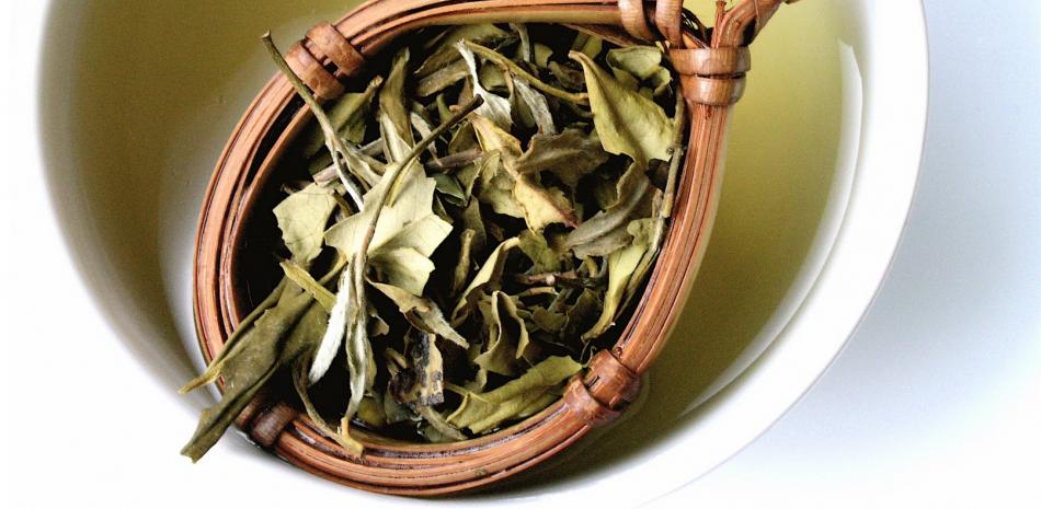 Té blanco, un antioxidante eficaz para tu cuerpo
