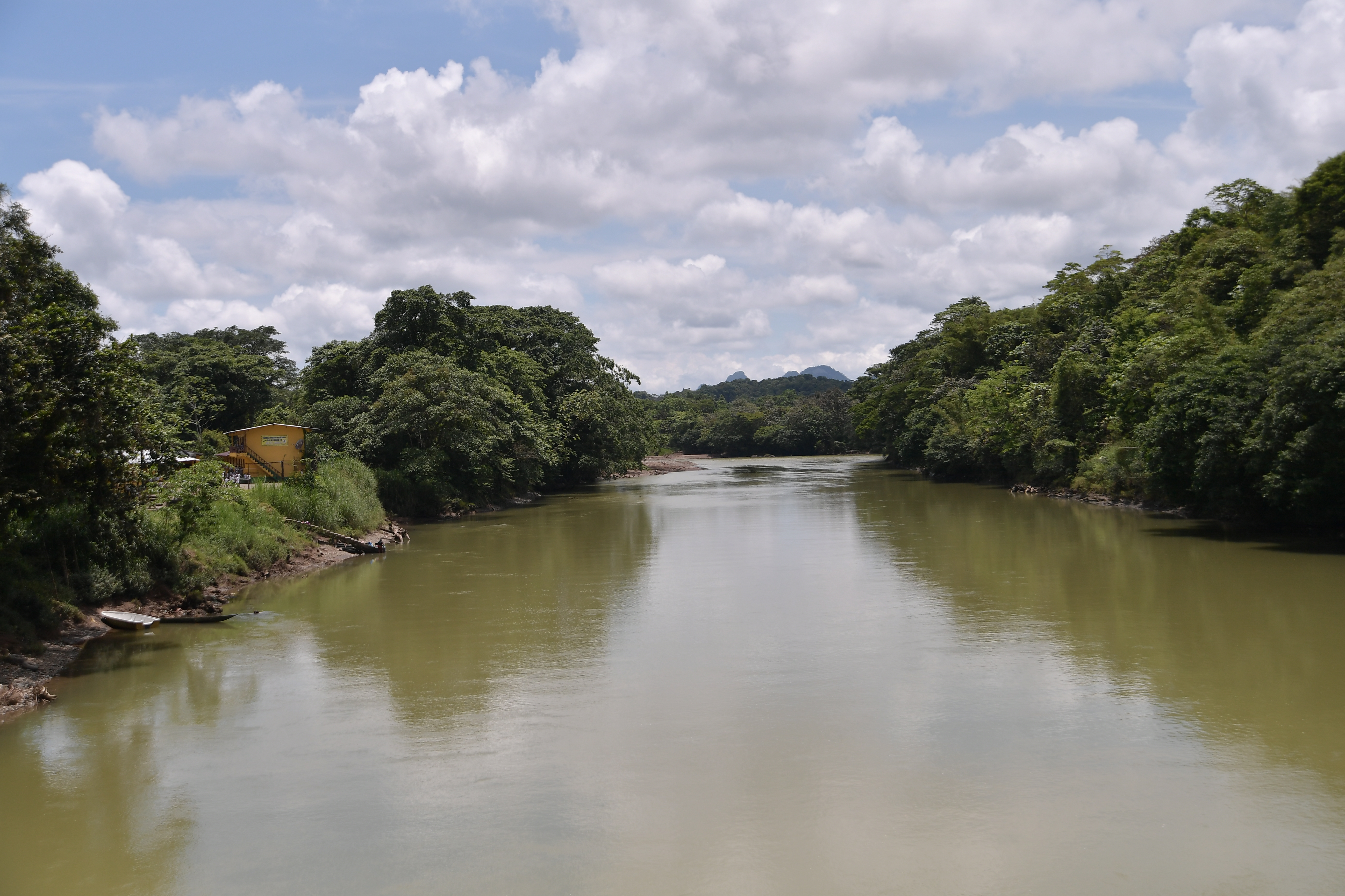 Defensoría alerta brote de paludismo que habría agravado paro armado en Chocó