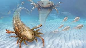 Los escorpiones marinos se hicieron gigantes al menos nueve veces