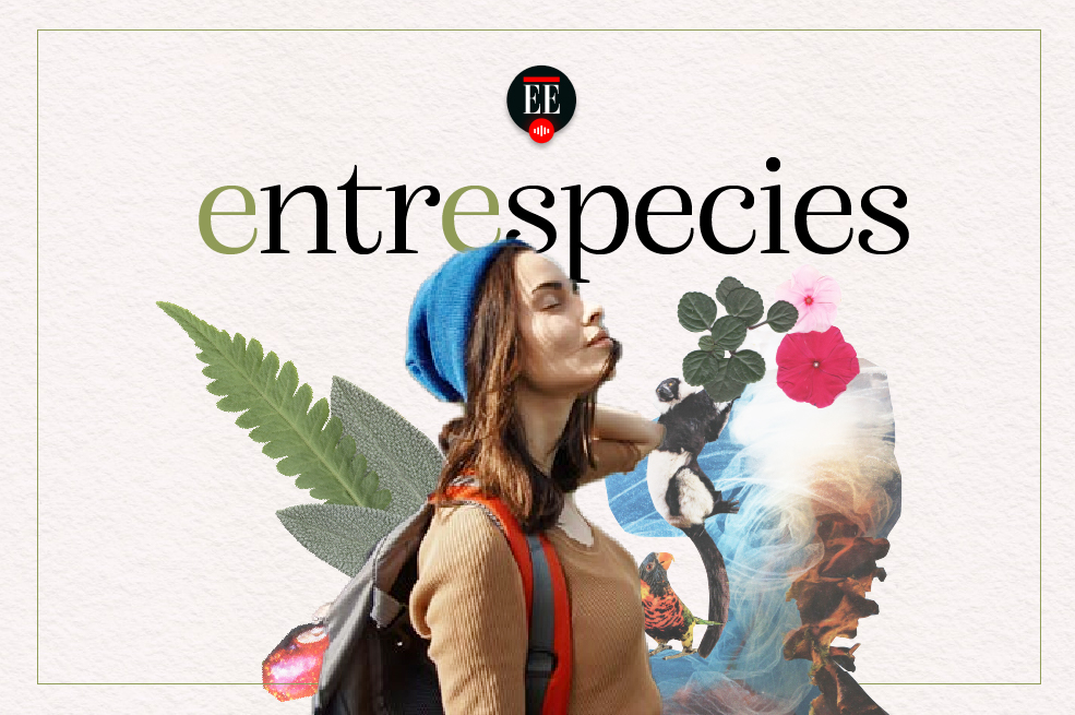 Vuelve “Entrespecies”, el podcast sobre ciencia y medio ambiente de El Espectador