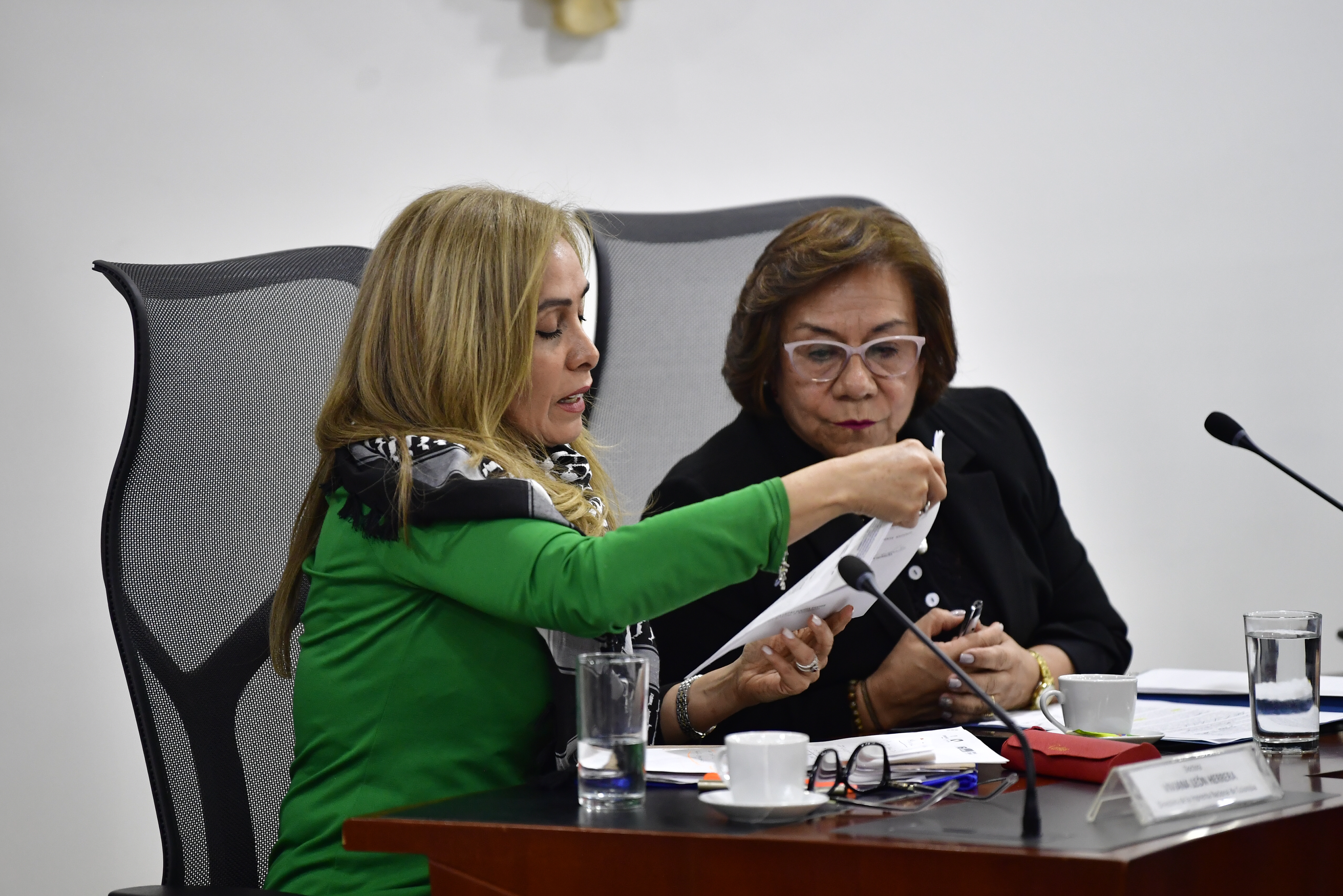 Canciller Villavicencio habló de los avances en cambio del modelo de pasaportes