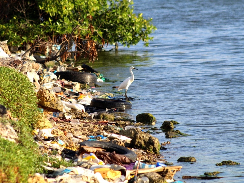 Los microplásticos llegaron a las playas del Caribe
