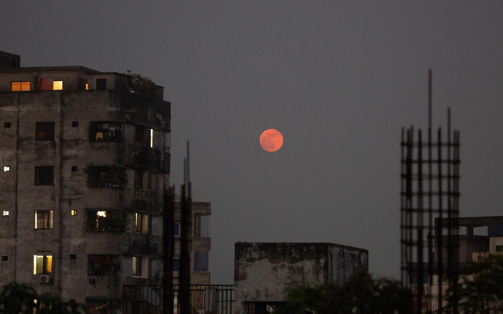 Las increíbles fotos del último eclipse lunar del 2021. Así se vio en el mundo