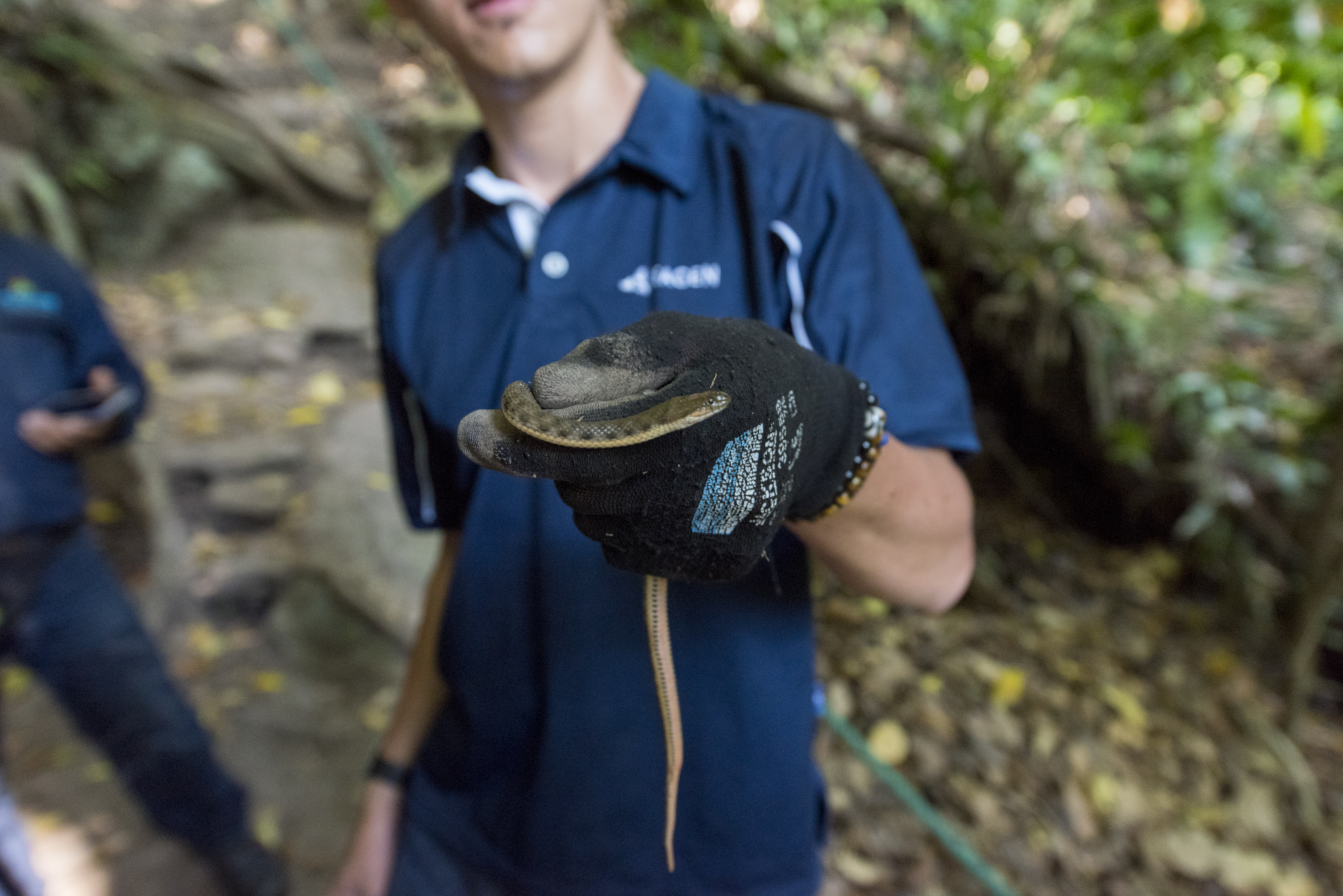 Áreas protegidas, elementos claves para la protección y conservación del agua