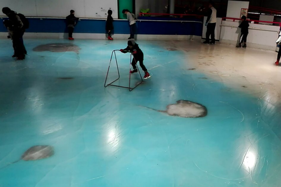 Críticas obligan a cerrar pista de patinaje sobre 5.000 peces congelados en Japón