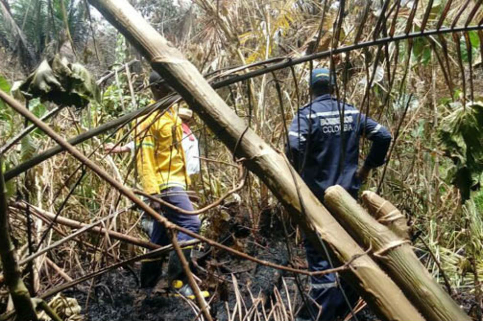 Se quemaron 900 hectáreas de bosque en Unguía, Chocó