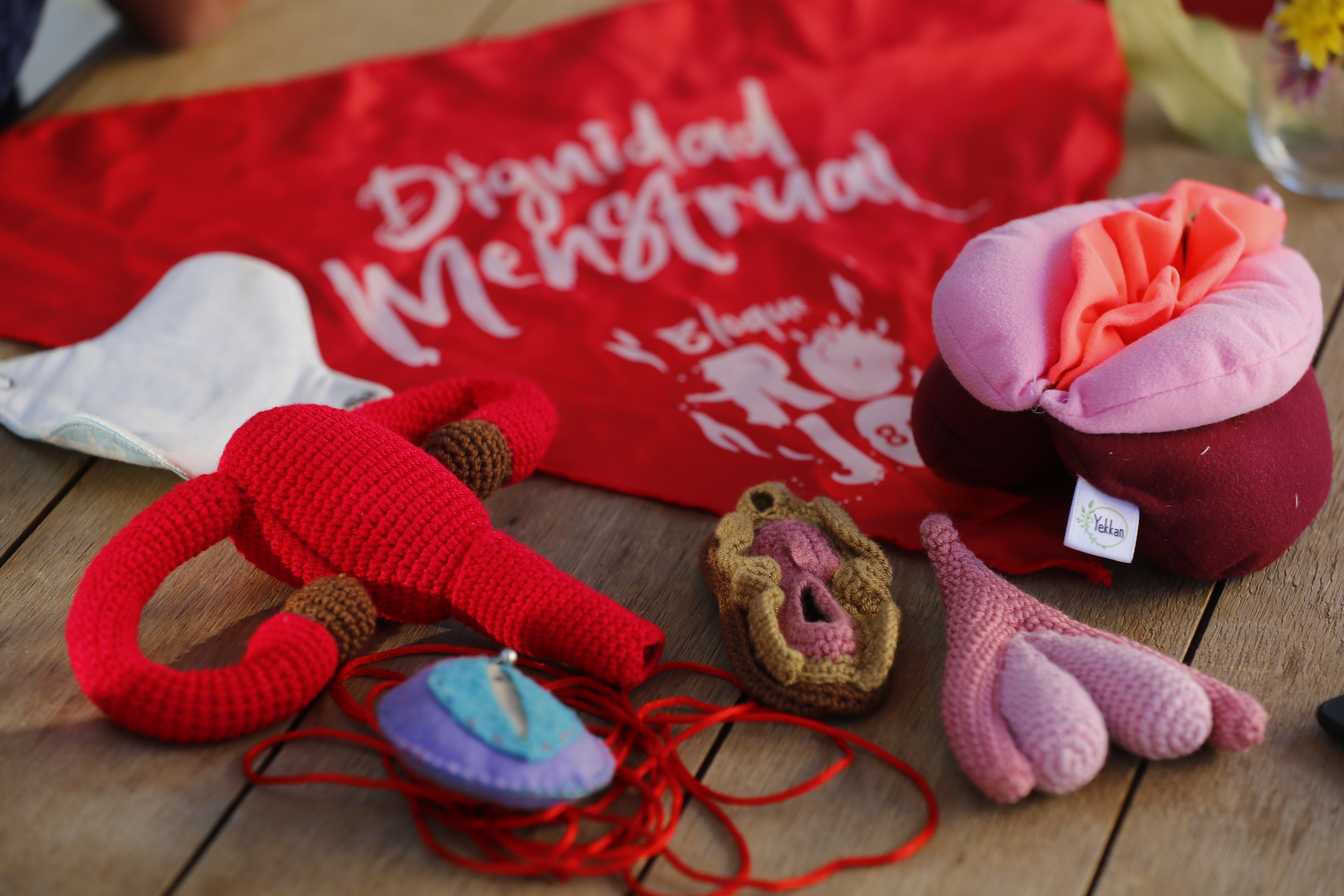 MEX1407. GUADALAJARA (MÉXICO), 09/03/2024.- Fotografía de elementos didácticos usados por educadoras menstruales en sus clases, el 7 de marzo de 2024, en Guadalajara, Jalisco (México). Educadoras menstruales llevan sus conocimientos a escuelas marginadas de México, donde casi el 70 % de las niñas y adolescentes tuvieron “poca o nula” información antes de su primer periodo y el 20 % carece de infraestructura necesaria para gestionar su menstruación, según la Unicef. EFE/ Francisco Guasco