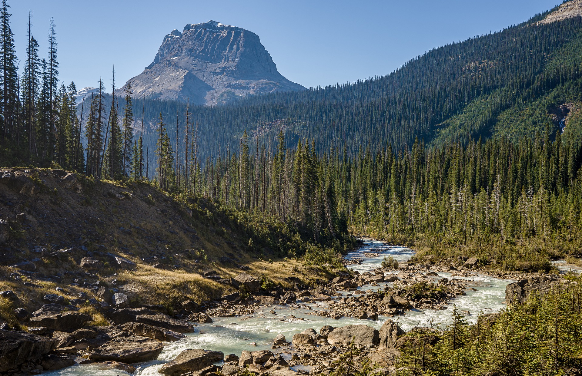 “Visite un parque natural”: la nueva receta que prescriben los doctores en Canadá