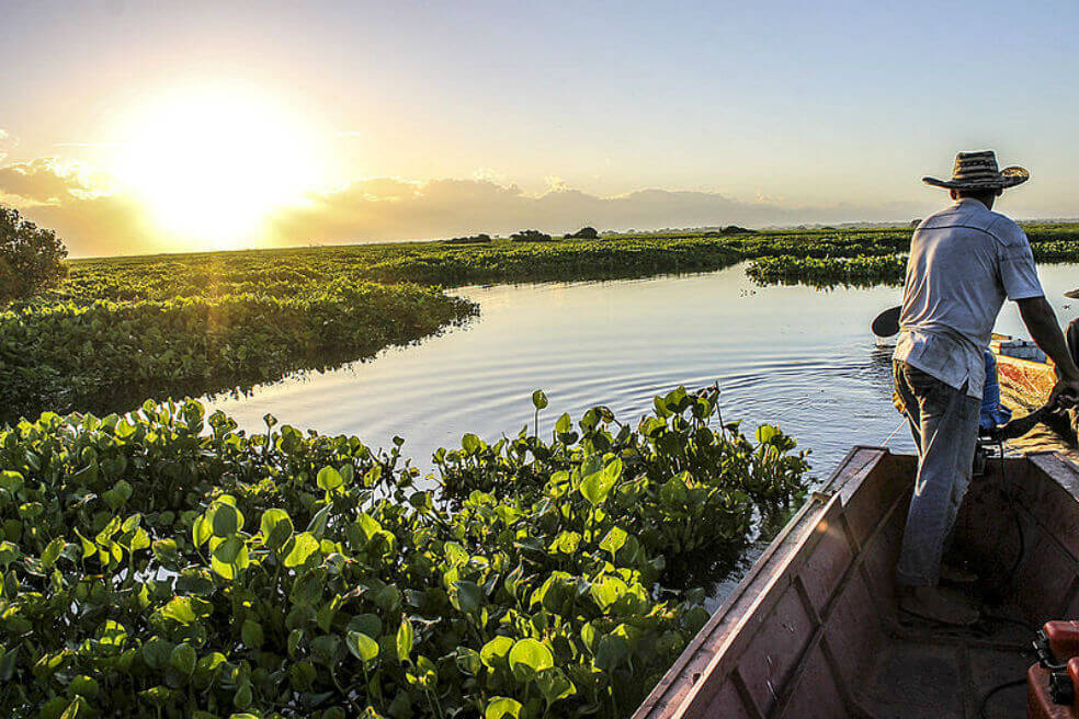Pesca en la Ciénaga de Zapatosa disminuyó por contaminación
