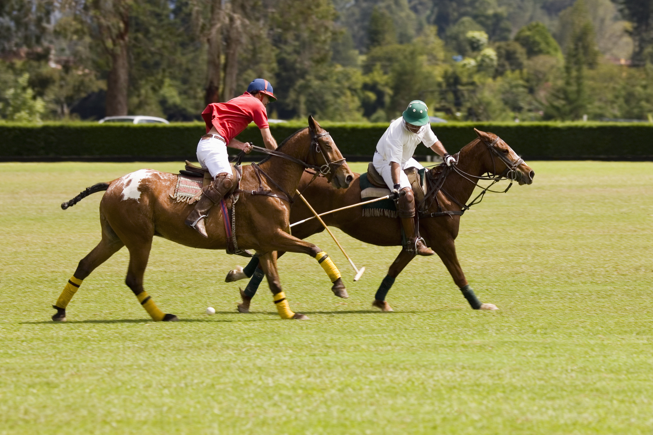 ¿Es un apasionado por los caballos? Llega el torneo de polo entre universidades