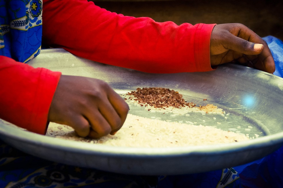 El hambre crece en América Latina por primera vez en una década, según la FAO