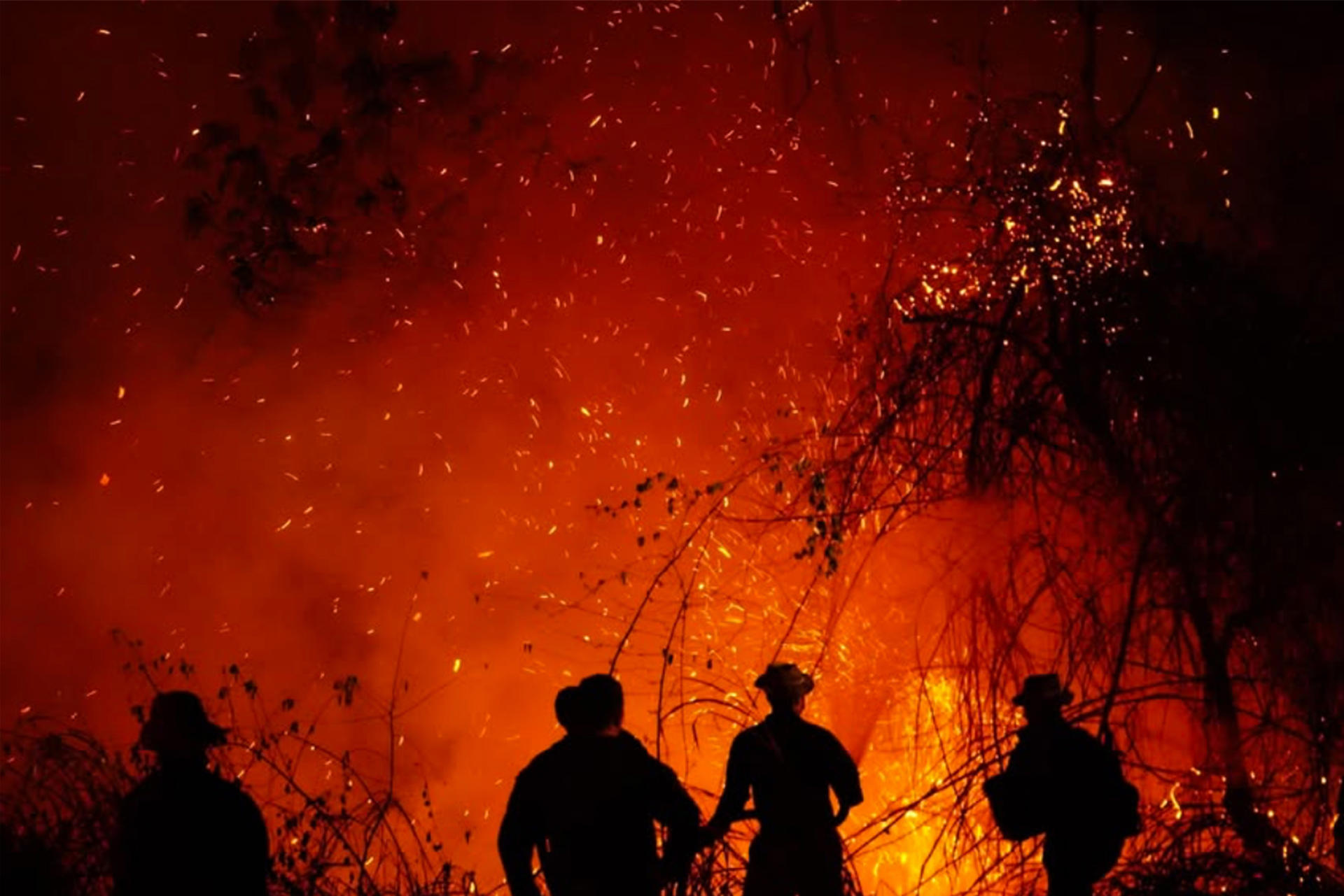 Con corte a las 5:00 p.m. del pasado domingo 23 de agosto, la UNGRD reportaba nueve incendios activos en tres departamentos del país, dos de ellos controlados. La mayoría se registraban en Tolima, además de uno en Caldas, uno en Nariño y otro en Huila.