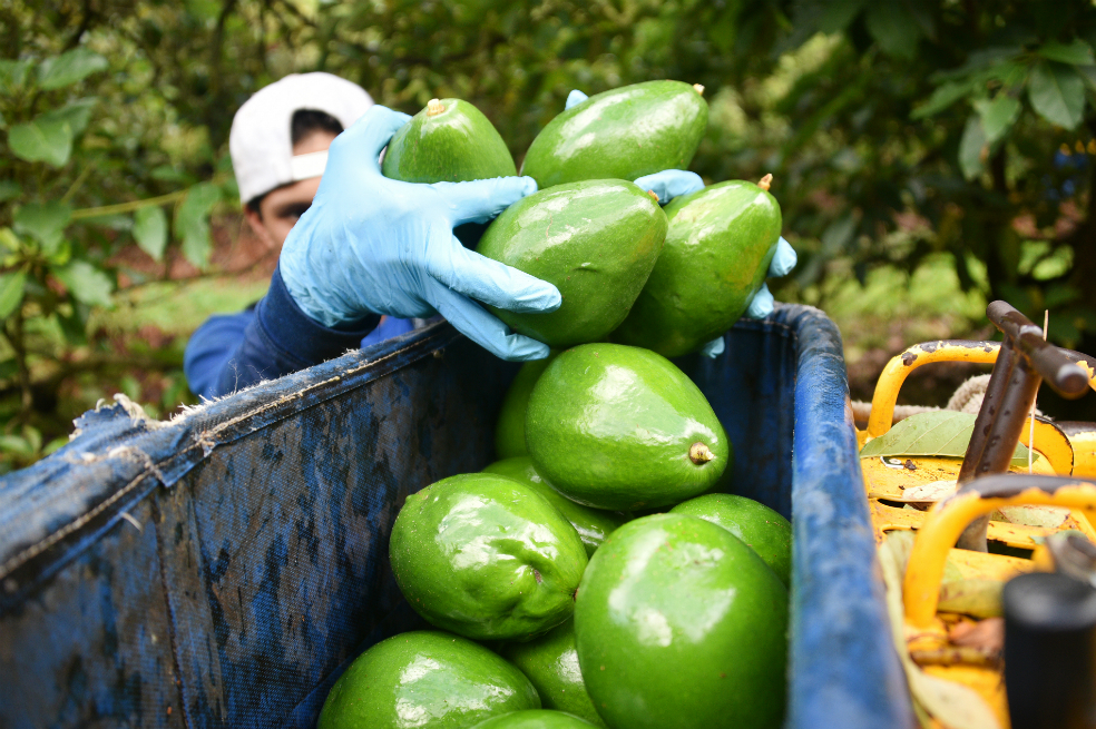 Las exportaciones del agro crecieron 9% en febrero de 2018