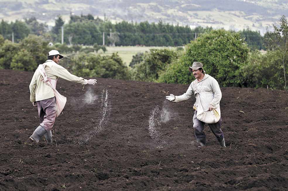 «Este año el campo va a crecer 3,5%»