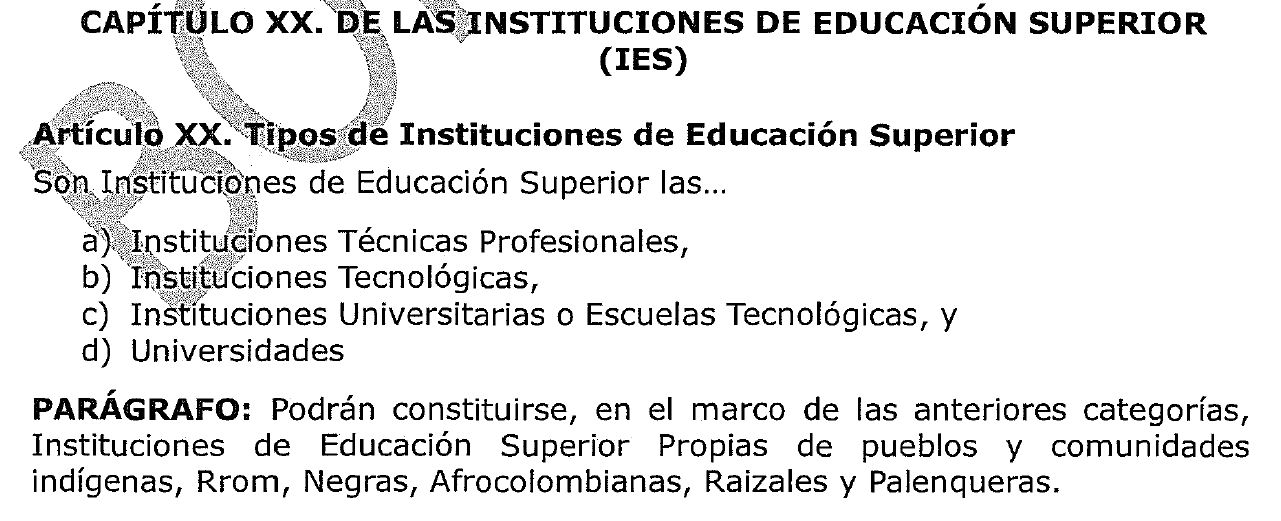 Capítulo de las IES.